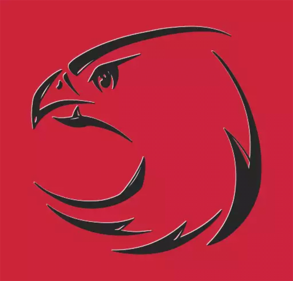 Kartal anlamına gelen Eagle'nin simgesinin kartal olması ile cuntacı askerlerin karargah olarak kullandığı hava kuvvetleri komutanlığının simgesinin de kartal olması dikkat çekiyor.