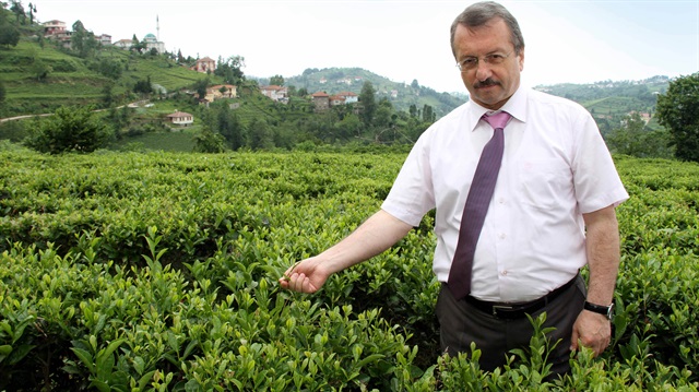 İmdat Sütlüoğlu