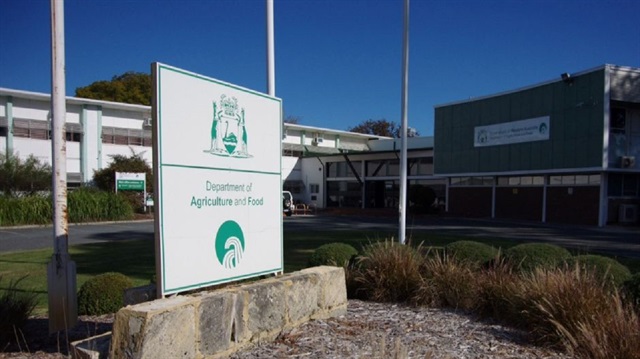 Rare French flowers destroyed in Australian quarantine drama