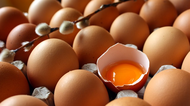 İSTYUMDER Başkanı Yıldırım, marketlerde satılan ve büyük boy (large) olarak bilinen yumurta fiyatlarının yıl başında ihracatta yaşanan artışla birlikte 40 kuruşlara kadar yükseldiğini anımsattı.

