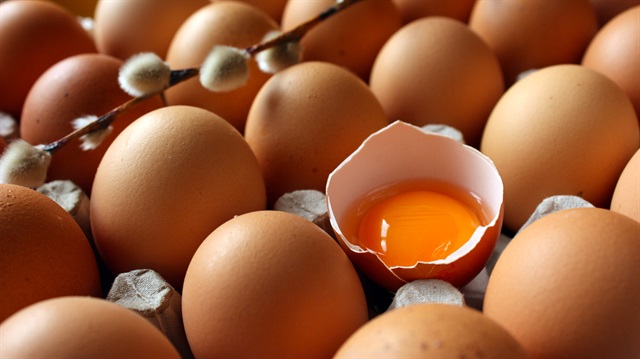 Avrupa'nın bazı ülkelerinde üretilen yumurtalarda tespit edilen "fipronil", karıncalar, böcekler, hamam böcekleri, kök kurtları gibi zararlıları kontrolünün yanı sıra mısır ve ayçiçeğinde tel kurtlarla mücadelede kullanılıyor