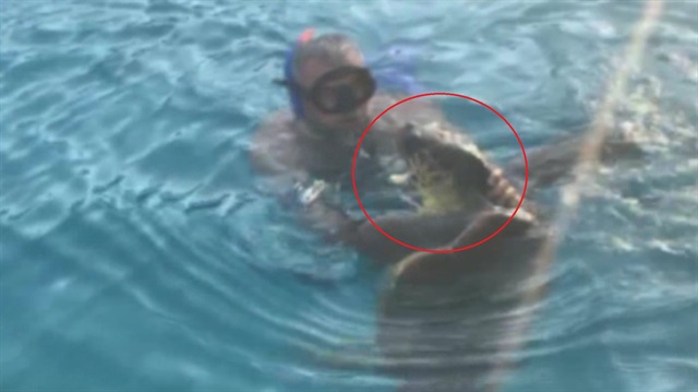 Caretta Caretta yine saldırdı!.. O anlar kamerada