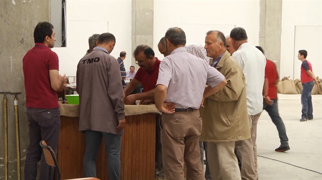 TMO fındık alımına başladı