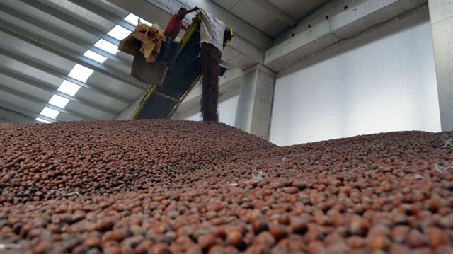 Bugüne kadar 25 bin üreticiden 60 bin ton fındık randevusu alındı.
