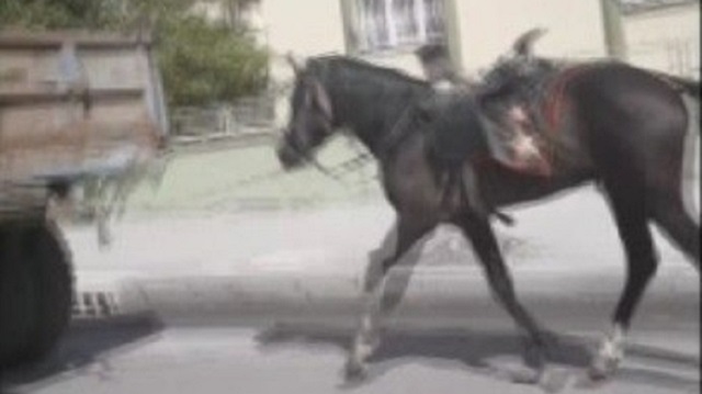 Kavurucu sıcakta koşturulan atın görüntüsü yürek sızlattı.