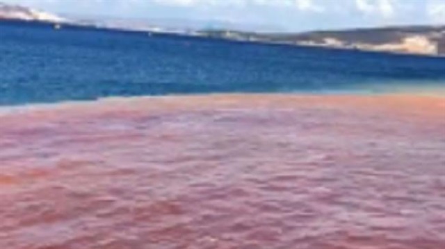 Yeni Foça’da denizin rengi değişti.