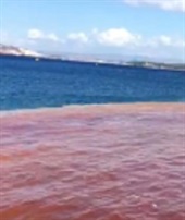 İzmir'de korkutan görüntü
