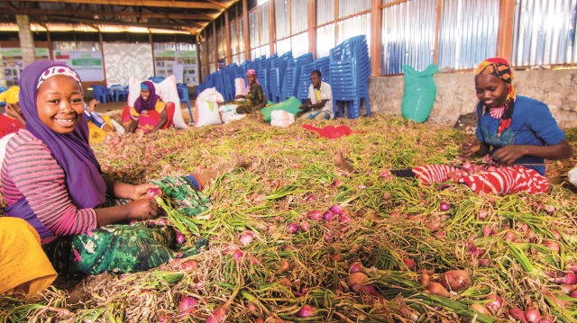 Türkiye ile Somali arasında tarımda iş birliği anlaşması imzalandı.