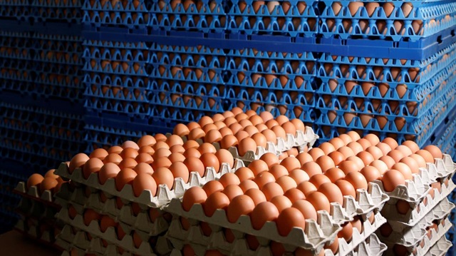 Tavuk yumurtası üretimi 1,6 milyar adet olarak gerçekleşti.