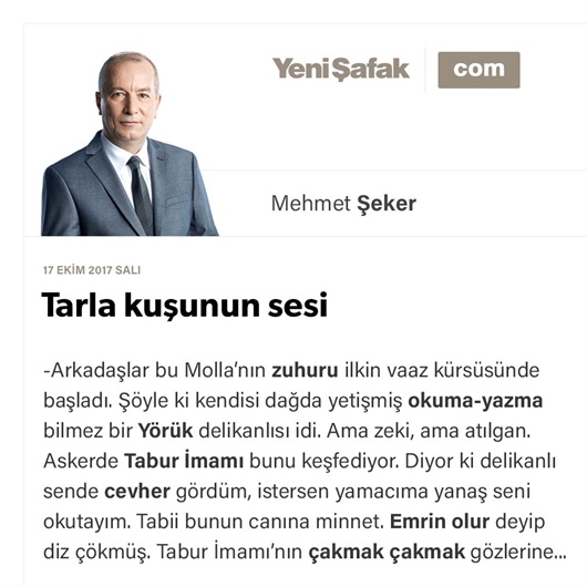 Tarla kuşunun sesi