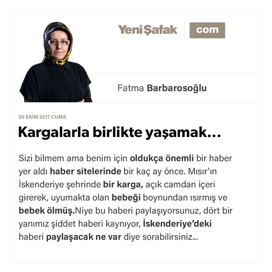 Kargalarla birlikte yaşamak...