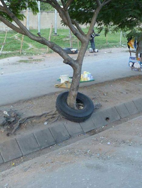 Beyninizi kaşar peyniri gibi eritecek 20 fotoğraf