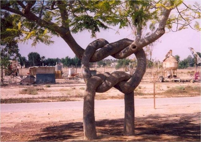 Beyninizi kaşar peyniri gibi eritecek 20 fotoğraf