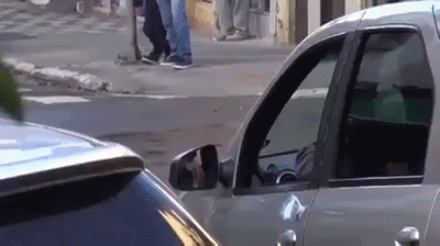 Sürpriz sonlarıyla kahkaha garantili 9 kısa video