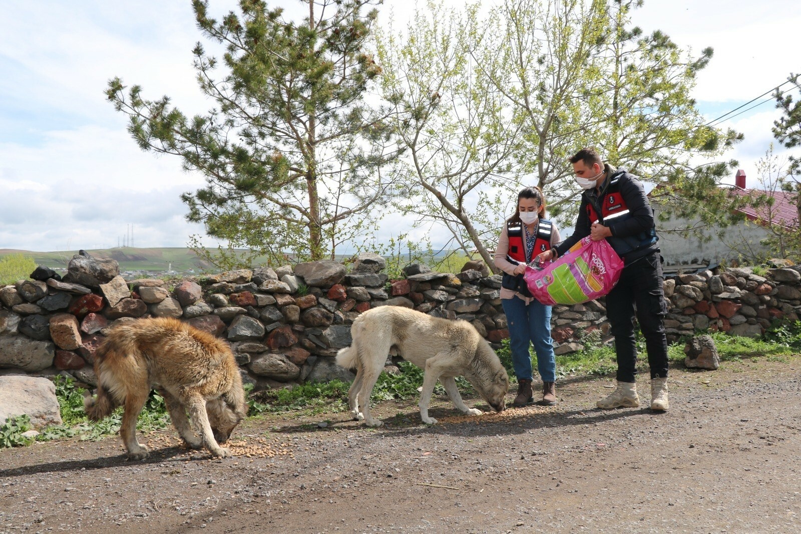 Turks take to streets to feed stray animals during nationwide lockdown