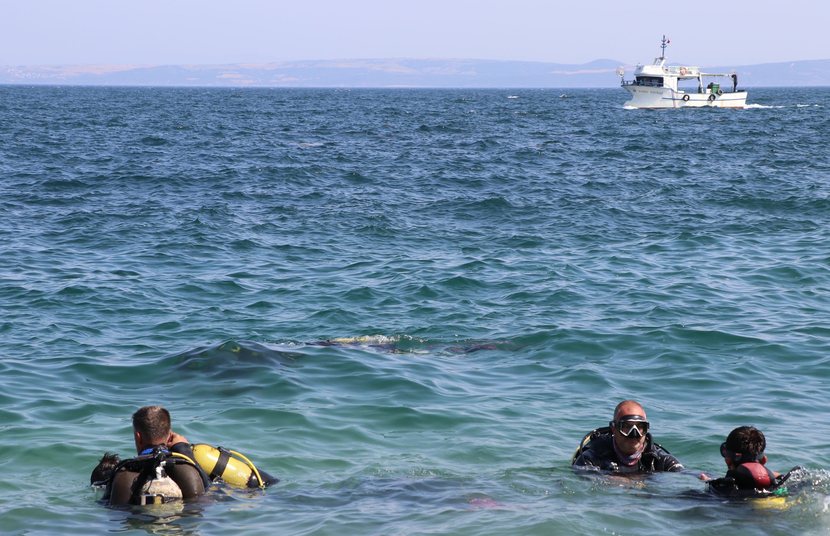 ‘Aquarium of Saros’ in Turkey draws attention of diving enthusiasts