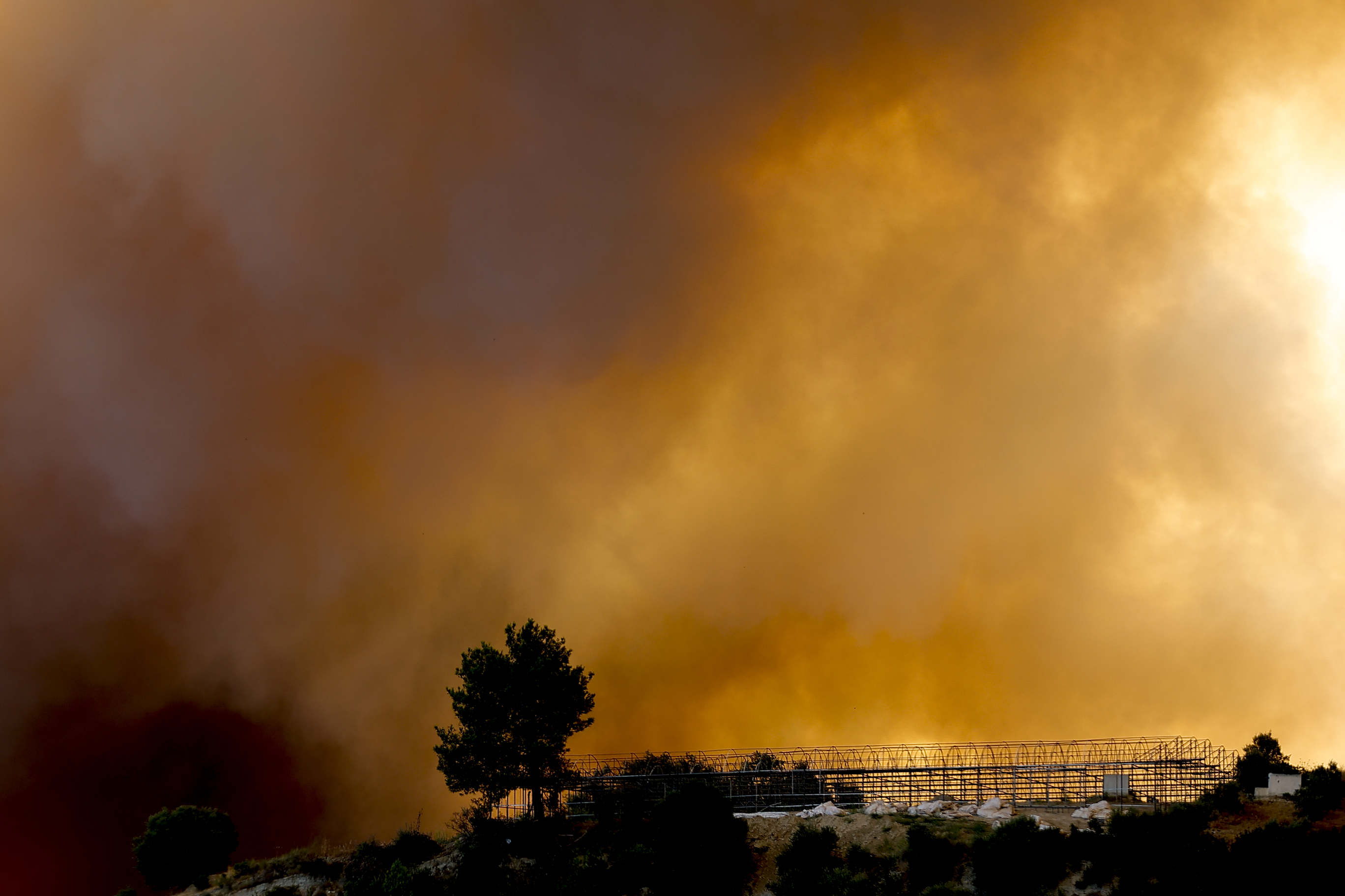 Deadly fire rages on in Turkey's Antalya, leaving hundreds homeless