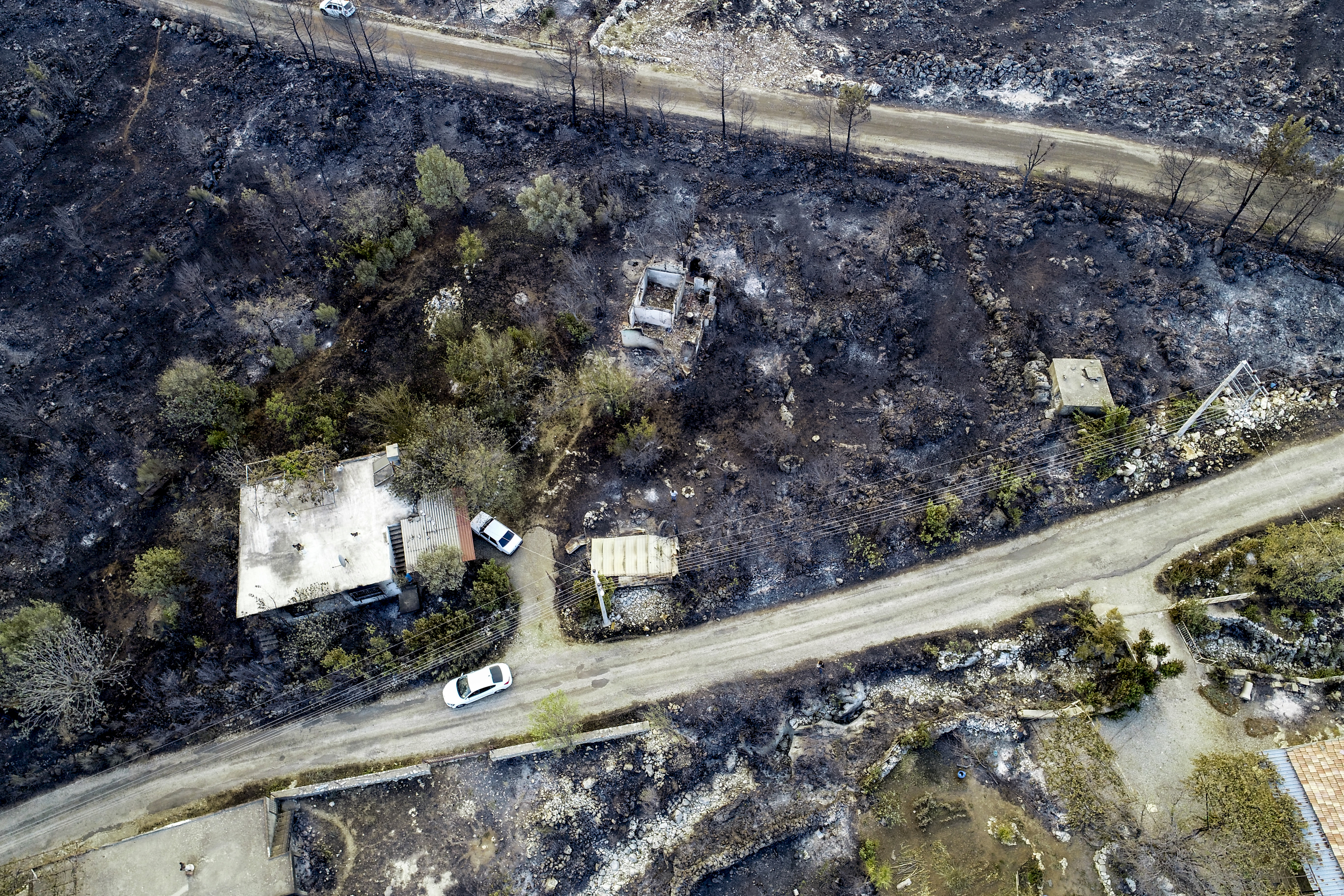 Aftermath of forest fire in Turkey's Antalya
