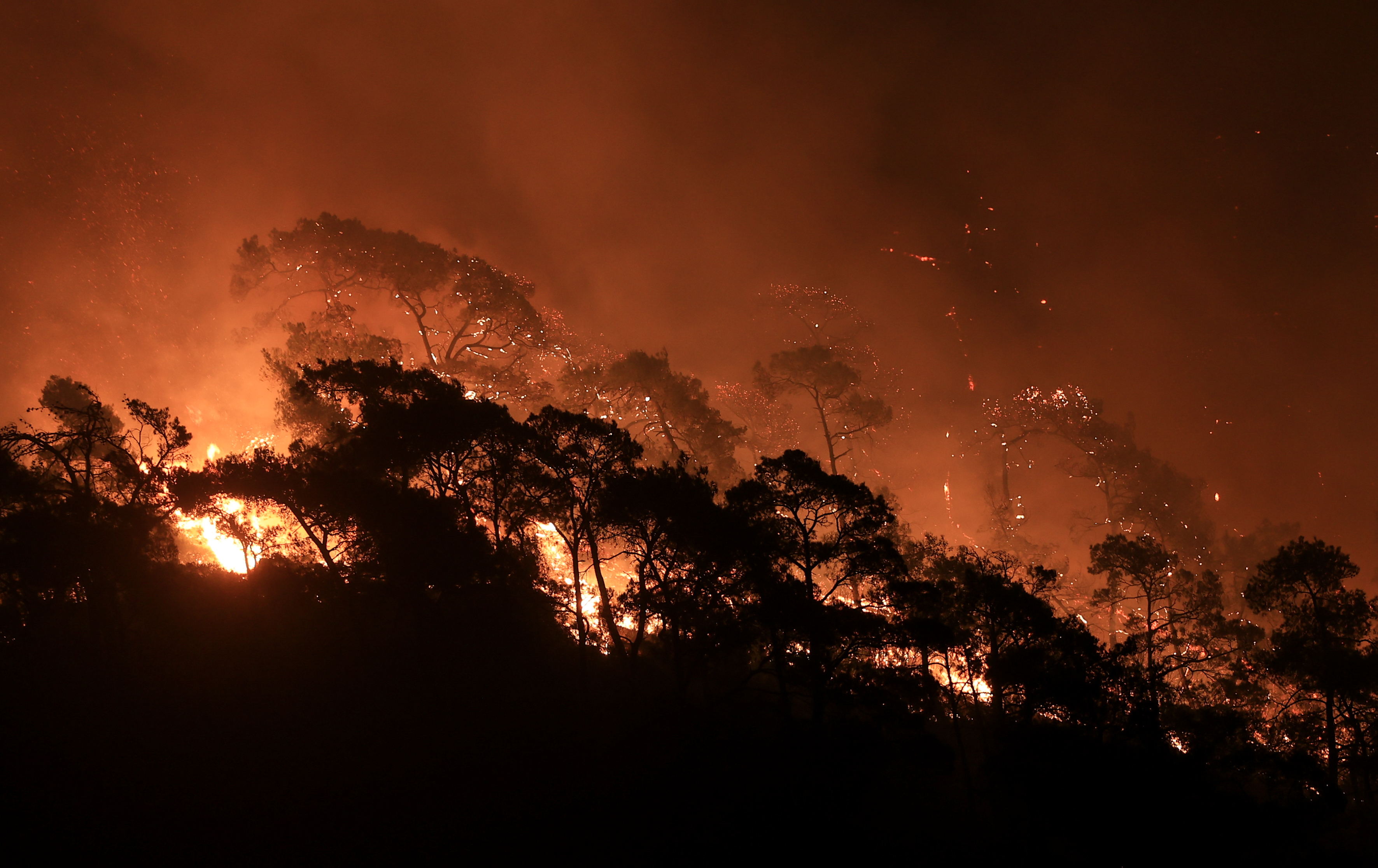 Massive forest fires ravish southern Turkey