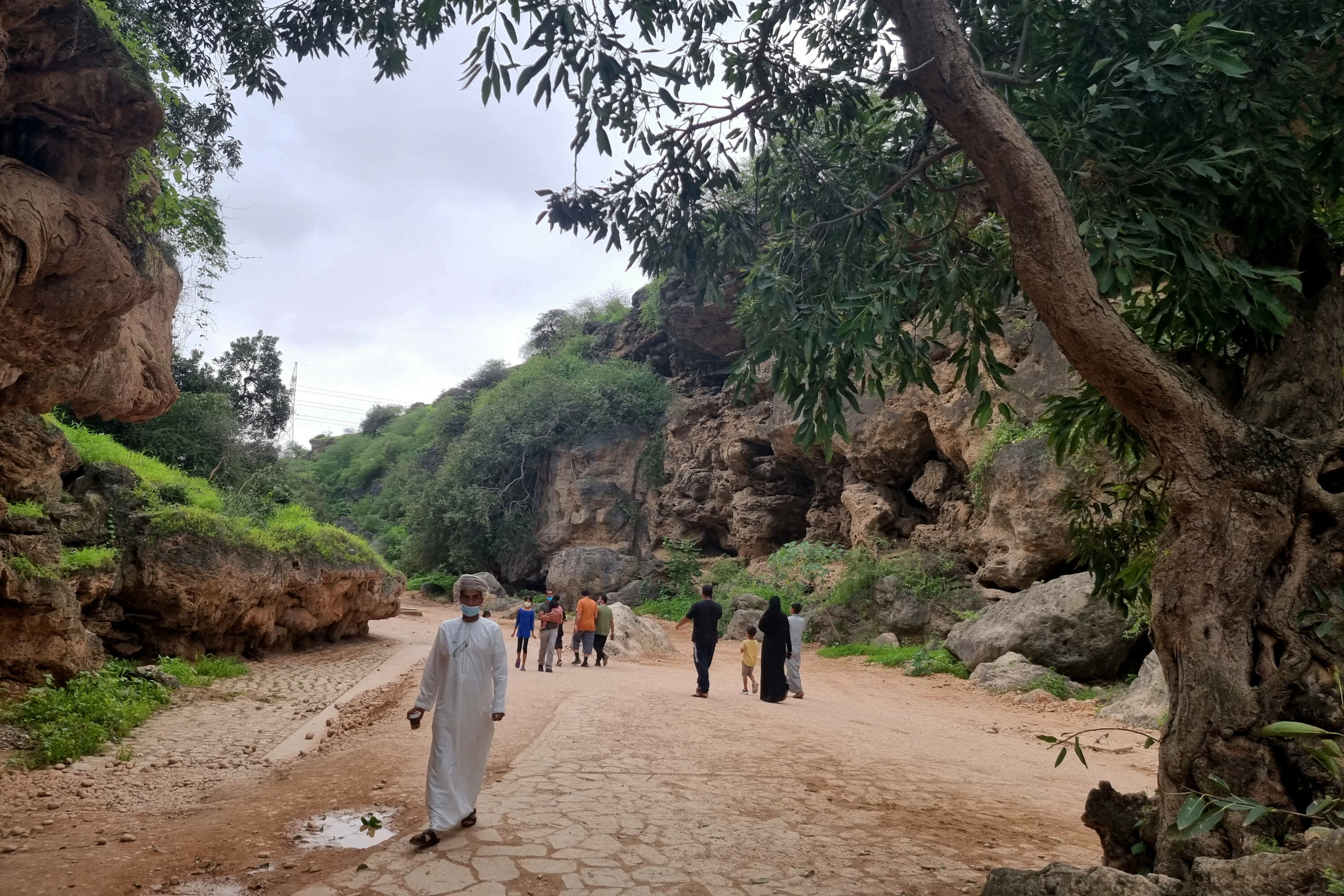 Natural beauty of Oman's Darbat Valley mesmerizes visitors