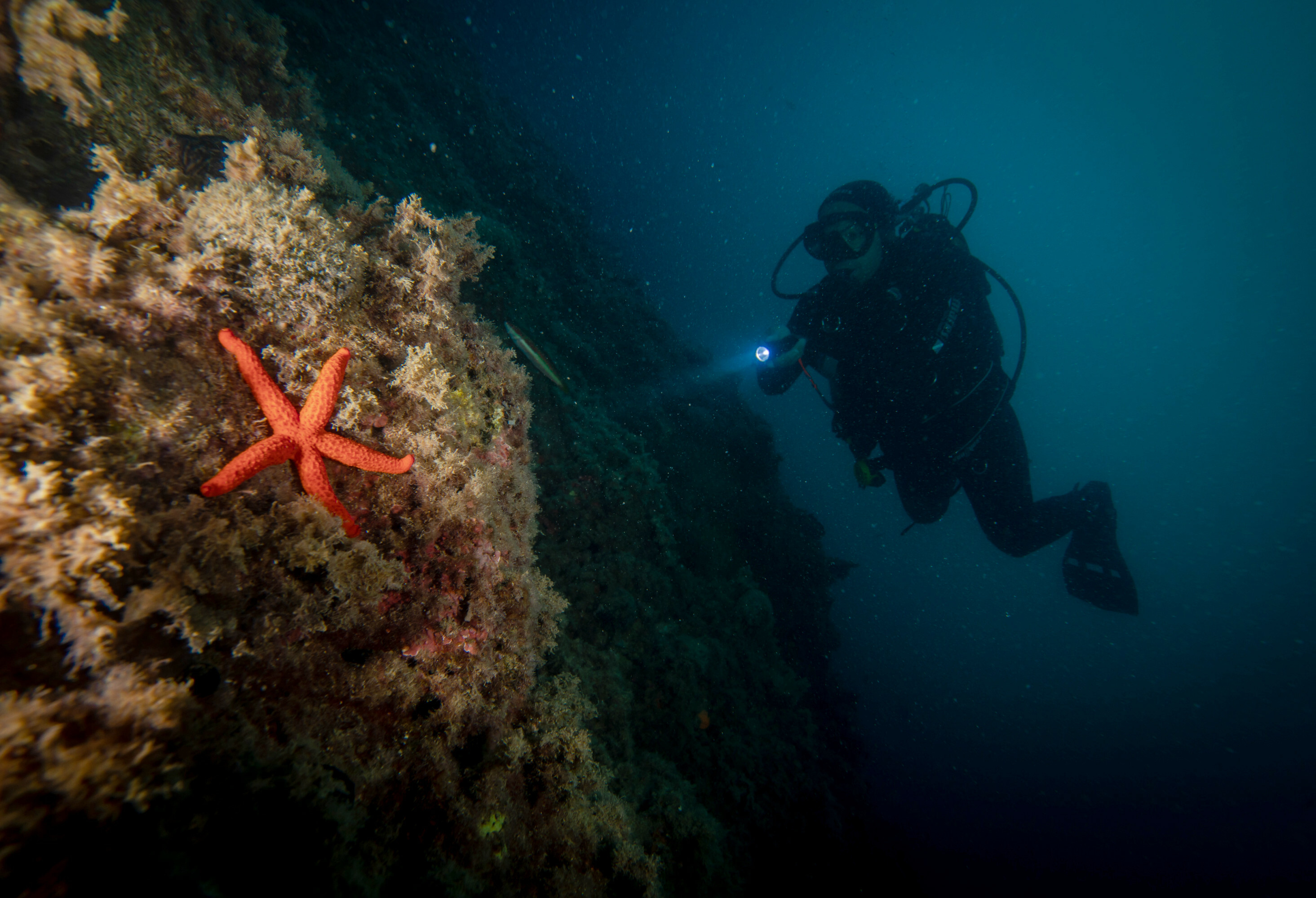 Divers discover underwater world in Turkey's Aydin