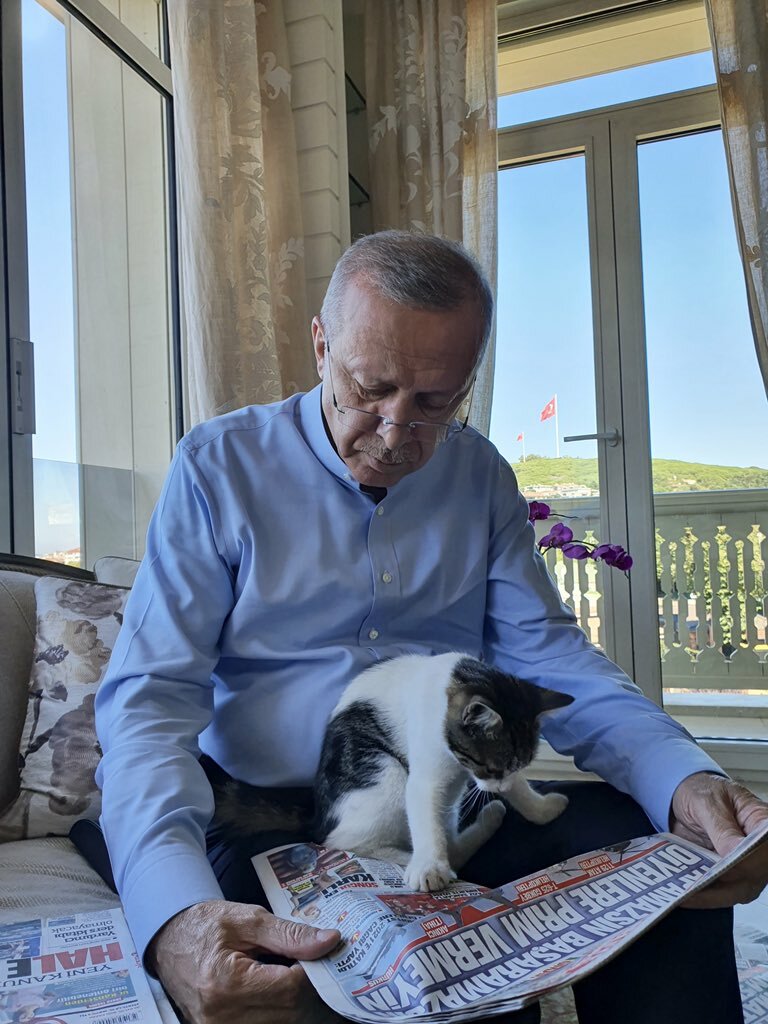 President Erdogan reads Sunday papers with adorable cat on his lap