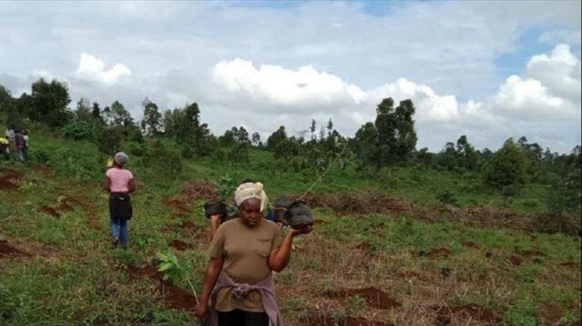 Tanzania’s women farmers make fortunes growing grapes