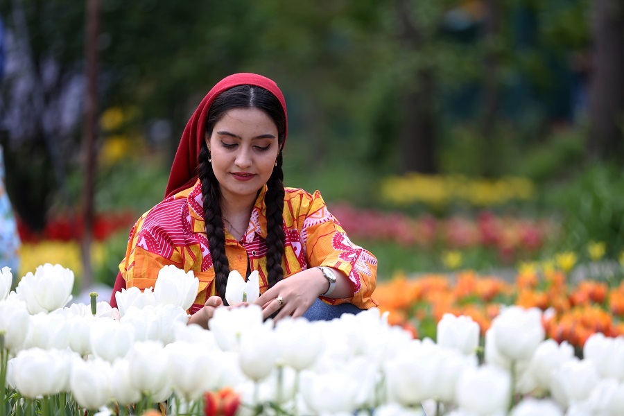 2 million flowers: Iranians delight as vibrant Asara Tulip Festival kicks off