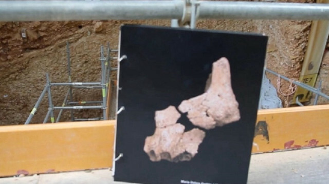1.4M-year-old bones excavated in northern Spain could rewrite human prehistory