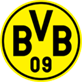 BVB U19
