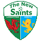 the-new-saints