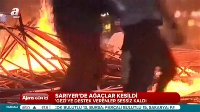 CHPli belediyelerden tam gaz ağaç katliamı