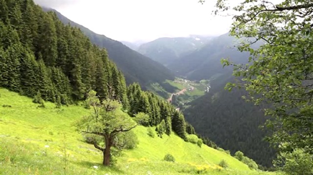 Lazboardla ünlenen yayla yazın da ziyaretçilerini bekliyor