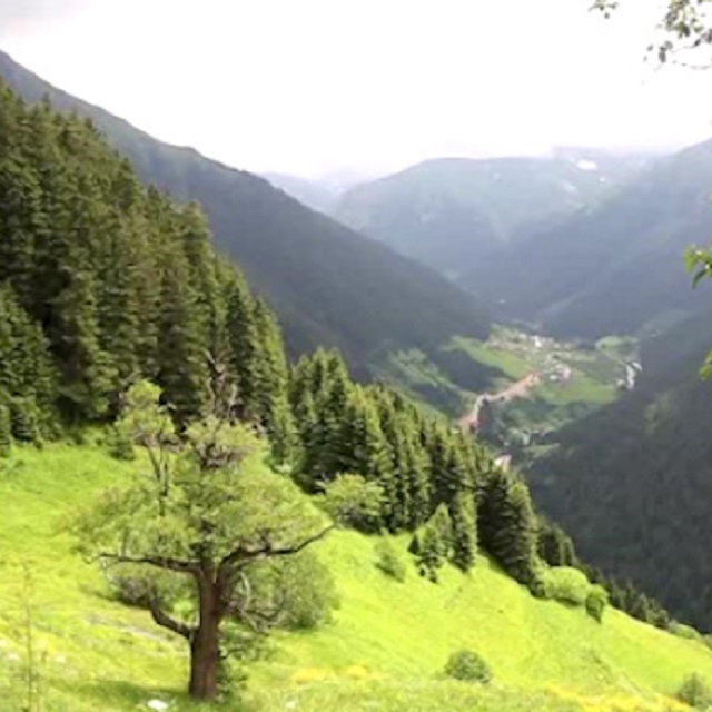 Lazboardla ünlenen yayla yazın da ziyaretçilerini bekliyor