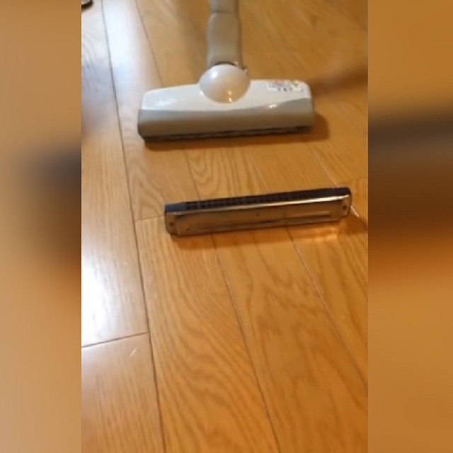 Japonya'nın mızıka çalan elektrikli süpürgeleri