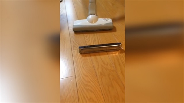 Japonya'nın mızıka çalan elektrikli süpürgeleri