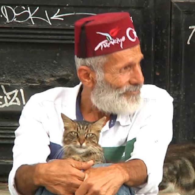 Bir zamanlar ünlülerin söz yazarıydı şimdi en iyi dostu kediler