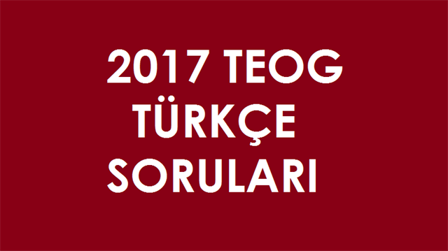 Yeni yorum gönder