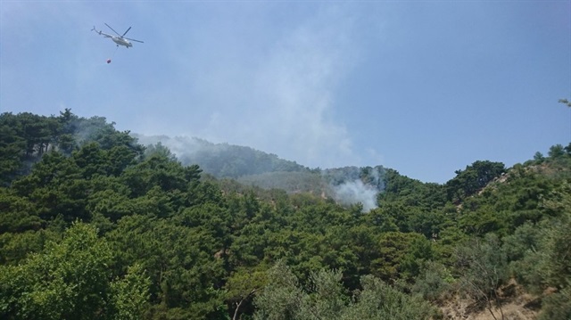 Kazdağları'nda yangın-Balıkesir haber