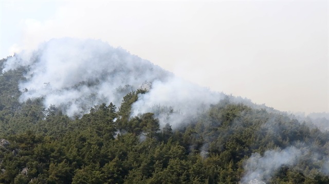 İzmir'de makilik ve orman yangını