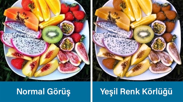 Renk körlüğü olanlar dünyayı nasıl görüyor?