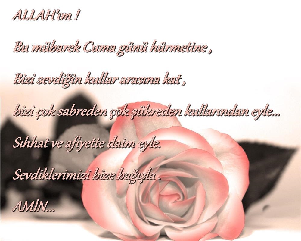 Kurban bayramı mesajları 2019 paylaş Kurban bayramı mesajları 2019 paylaş