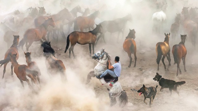 Fotoğraf: Fikret Dilek Uyar