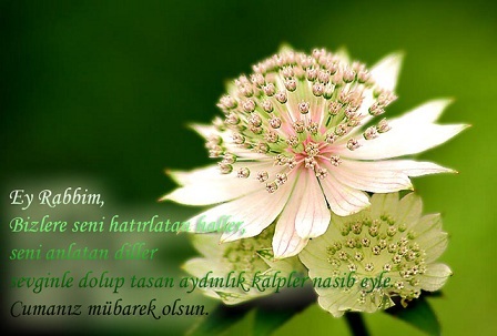 resized_73803-afbae5c9cumamesajlari11.jpg