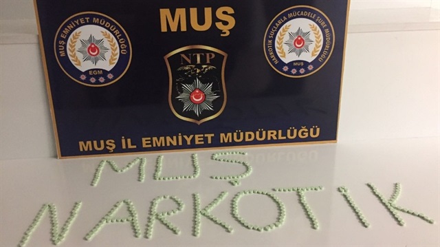 Muş'taki uyuşturucu satıcılarına düzenlenen operasyona 1 kişi tutuklandı, 336 adet uyuşturucu hap ele geçirildi.