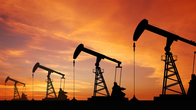 300 milyar varil petrol rezervi var