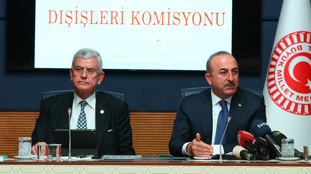 Dışişleri Bakanı Mevlüt Çavuşoğlu, Rusya Dışişleri Bakanı Sergey Lavrov'la görüştü.