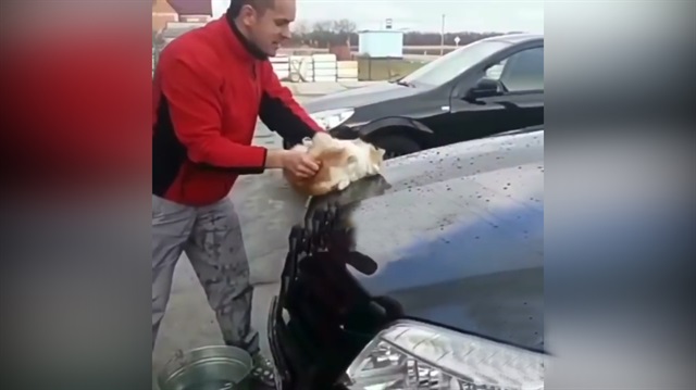 Böyle insanlık olmaz olsun!