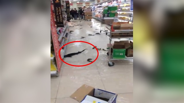 Marketteki bu görüntü şoke etti!