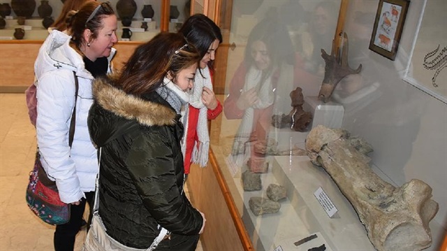 Yaklaşık 65 milyon yıl önce jeolojik dönemlerde yaşayan dinozorun bilek kemiği yaklaşık 40 kilogram.